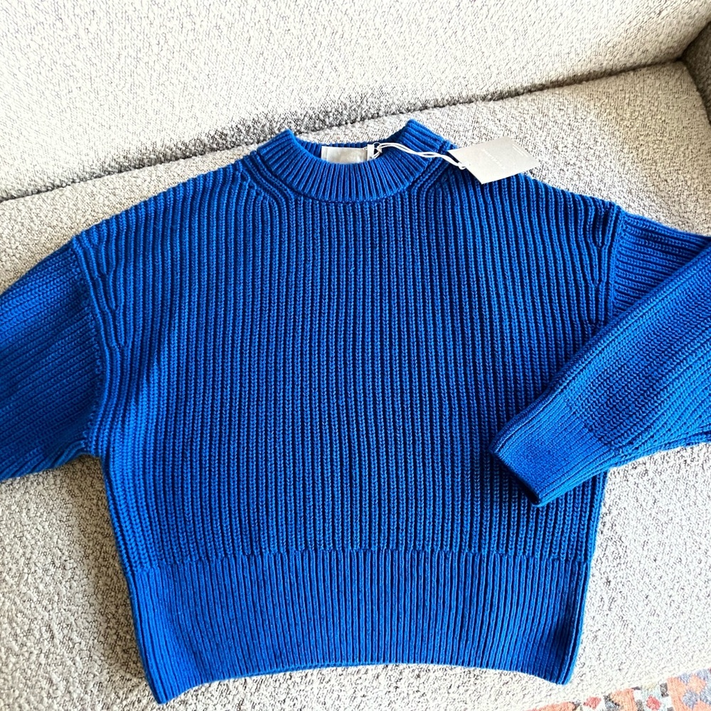 Everlane Electric Blue Knit Sweater
